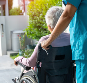 Outdoor Wheelchair Companion Service