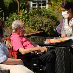 Backyard Leisure Meal Delivery and Companionship Service