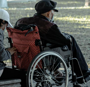 Outdoor Wheelchair Companionship and Rest Care Service
